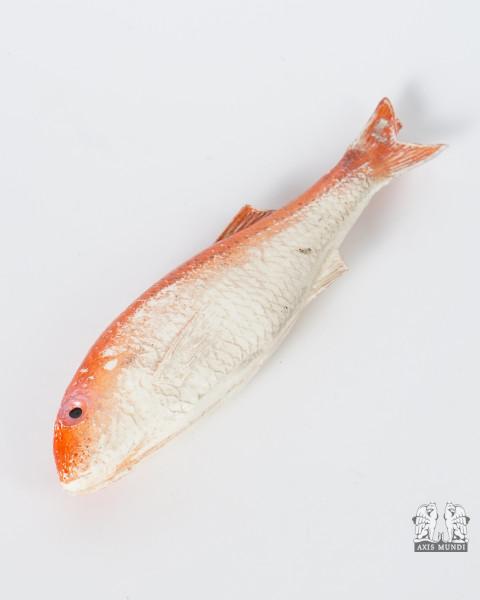 Rotbarbe Fisch