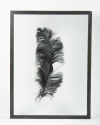 Wandbild