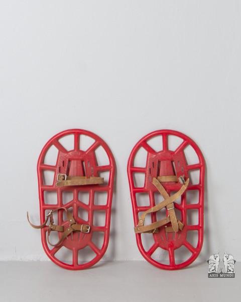 Ski Schuhe