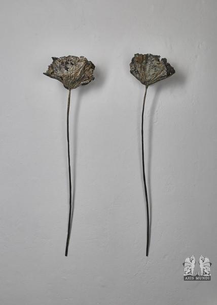 Wandobjekt/Wandleuchte Set 2'er „Lotus“