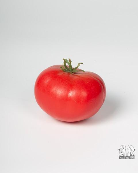 Tomate