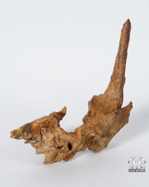 Treibholz Mopani Wurzel