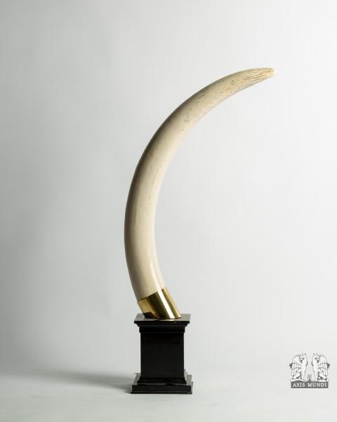 Skulptur Stoßzahn