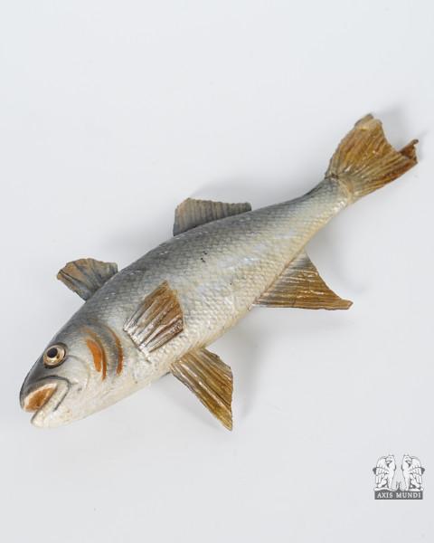 Hecht Fisch