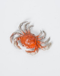 Krabbe