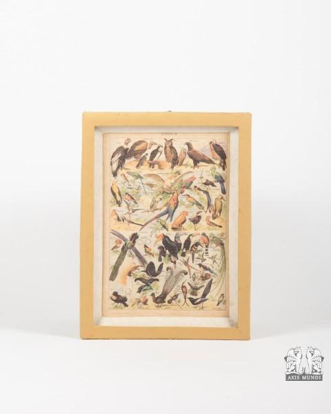 Wandbild