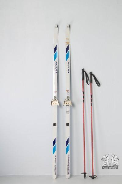 Ski