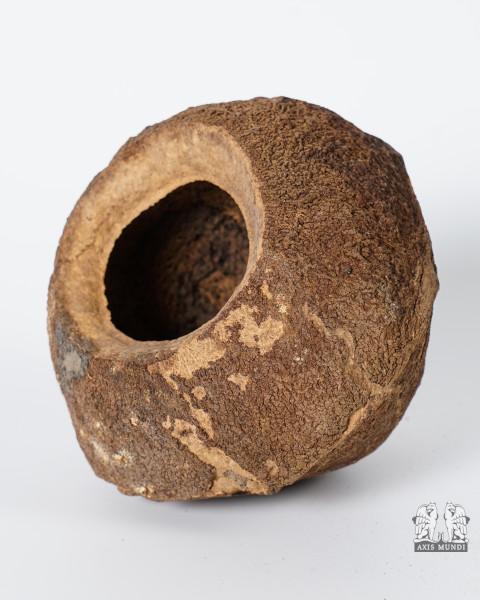 Sapucaia Paradiesnuss