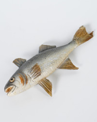 Hecht Fisch