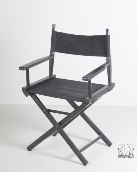 Director Chair