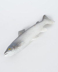Fisch