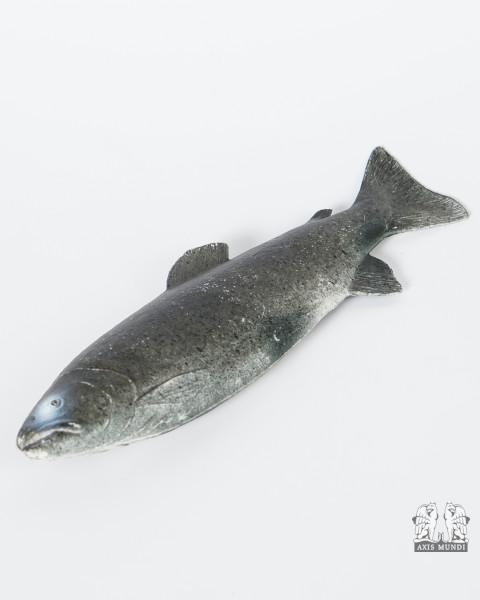 Forelle Fisch