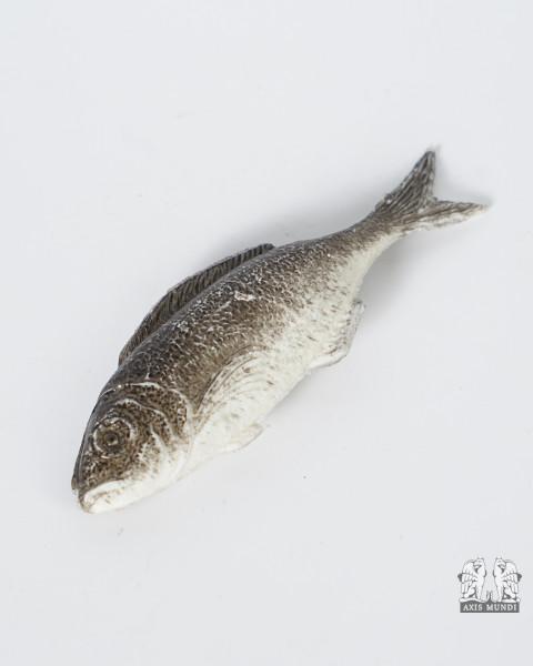 Meerbrasse Fisch
