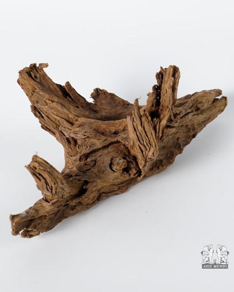 Treibholz Mopani Wurzel