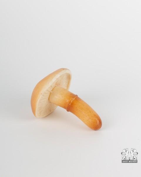 Pilz