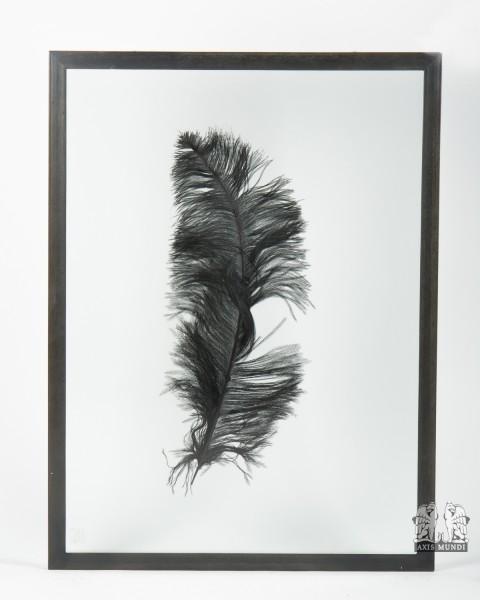 Wandbild