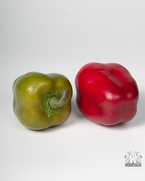 Paprika Rot Grün 2 tlg